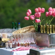 Planning your next Big Bash with Party Catering in Mississauga